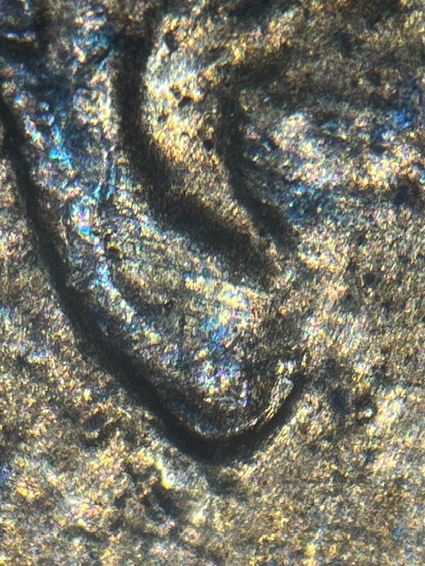 Lincoln-Memorial-Cent-1988-D--Normal-Ear-?-Or-?